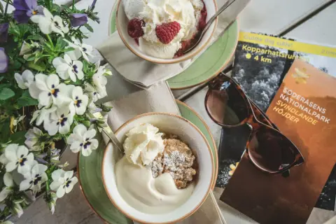 Fika med glass och smulpaj, perfekt för ett resmål i juni. Blommor och karta över Söderåsens nationalpark.