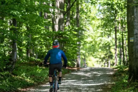 Rowerzysta na ścieżce leśnej, podążający za zielonym szlakiem. Słońce przebija się przez liście drzew.