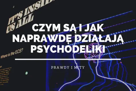 Czym są i jak naprawdę działają psychodeliki? Grafika przedstawia schematyczne sylwetki ludzi i mózg, sugerując eksplorację umysłu.