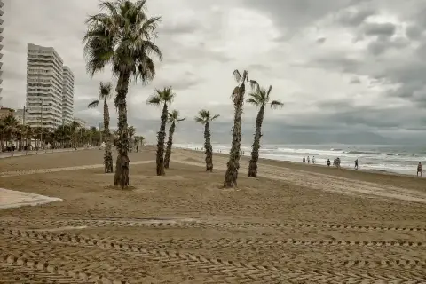 Palmeras en la cala de San Juan, con un edificio alto al fondo y gente paseando por la orilla.