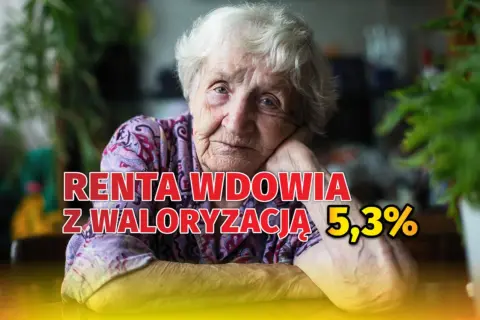 Starsza kobieta z zamyśloną miną. Napis: "Renta wdowia z waloryzacją 5,3%". Nowe zasady emerytury po mężu.