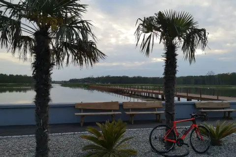 Pomarańczowy rower czeka na odkrycie **tras rowerowych Łódź** nad spokojną wodą, wśród palm i drewnianych ławek.