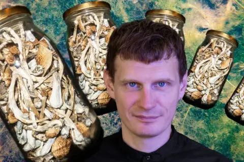 Grzyby psylocybinowe: Prawo, ryzyko, terapia. Czy to przyszłość medycyny?