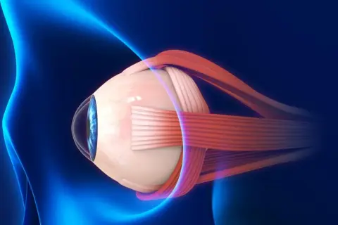 Anatomical illustration of a human eye with optic nerve and muscles, against a dark blue background with blue light effects.