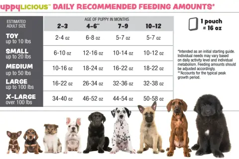 Chart showing how much food should I feed my dog based on size and age. Includes photos of puppies.