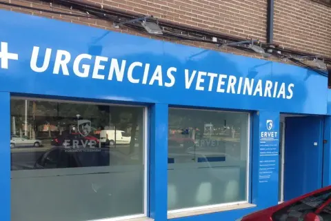 Encuentra el mejor veterinario en Alcorcón para tu mascota hoy