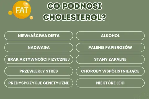 Jak podnieść cholesterol HDL? Dieta i styl życia dla zdrowego serca