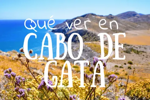 Paisaje costero con flores silvestres y el texto "Qué ver en Cabo de Gata". Un destino ideal para tu viaje.