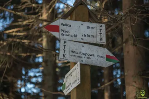 Rozdroże szlaków PTTK. Wskazówki kierują do Hali Krupowej (15 min), Przełęczy Krowiarki (2h 30 min) i Policy (30 min).