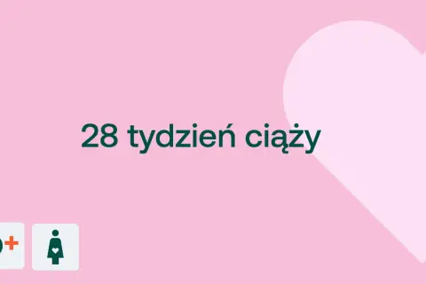 28 tydzień ciąży. Czas na przygotowania do narodzin. D+ ikona kobiety w ciąży.