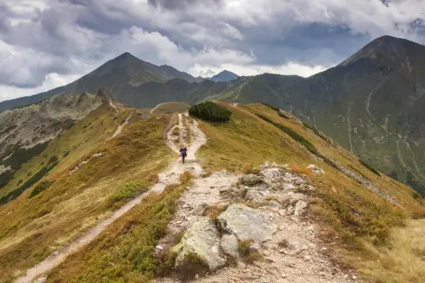 Szlak na Ornaka z Doliny Kościeliskiej. Kamienista ścieżka wije się pośród traw i kosodrzewiny, prowadząc w głąb gór.