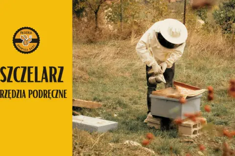 Jaką farbę do uli wybrać, aby chronić pszczoły i hives?