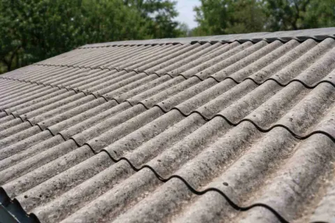 Szary eternit na dachu, pokryty mchem i porostami, w tle zielone drzewa.