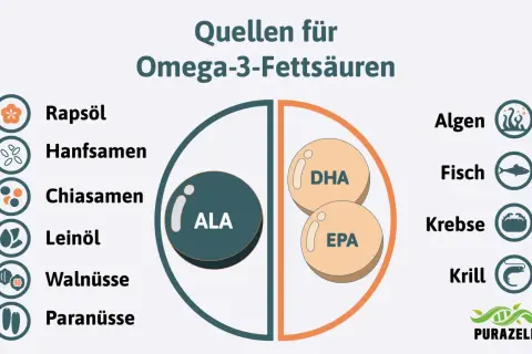 Quellen für Omega-3-Fettsäuren: Rapsöl, Hanfsamen, Chiasamen, Leinöl, Walnüsse, Paranüsse, Algen, Fisch, Krebse, Krill. Omega 3 kann beim Abnehmen unterstützen.