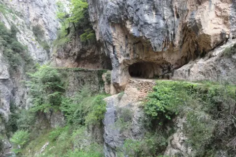 Un camino tallado en la roca, con vegetación exuberante, serpentea por un desfiladero. Una aventura en coche por los Picos de Europa.