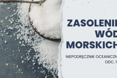 Jakie jest zasolenie Bałtyku? Fakty, które mogą zaskoczyć