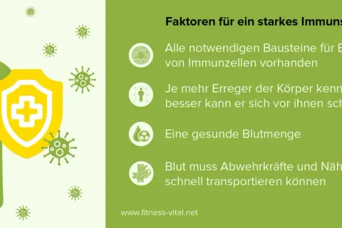 Immunsystem im Keller stärken: So vermeiden Sie gesundheitliche Risiken