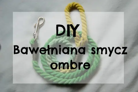 Jak zrobić smycz dla psa - łatwe i tanie sposoby na DIY