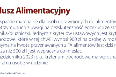 Fundusz Alimentacyjny: Jak uzyskać wsparcie i co czeka dłużnika?