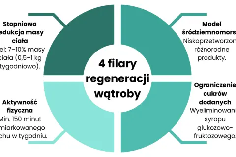 4 filary regeneracji wątroby: redukcja masy ciała, aktywność fizyczna, dieta śródziemnomorska i ograniczenie cukrów. Kluczowa jest stłuszczenie wątroby dieta.