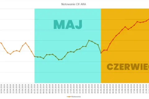 Cena regulacji LPG: Jak nie przepłacić i rozpoznać objawy?