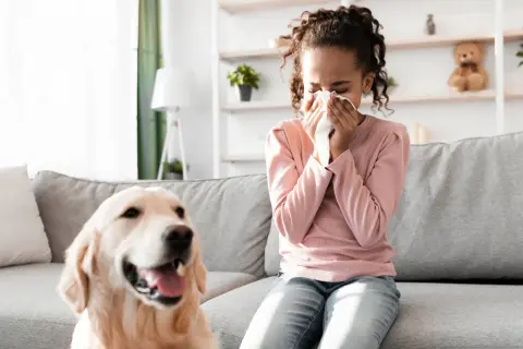 Czy golden retriever uczula? Sprawdź, jak uniknąć alergii!