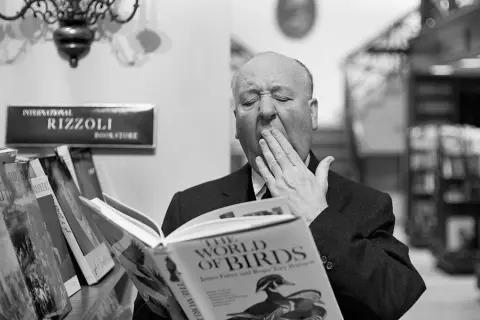 Alfred Hitchcock bâille en feuilletant un livre sur les oiseaux à la librairie Rizzoli. Une scène de littérature blanche.