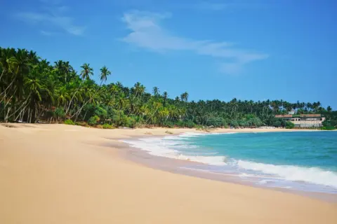 Rajska plaża na Cejlonie z palmami i turkusową wodą. Idealne miejsce na relaks.