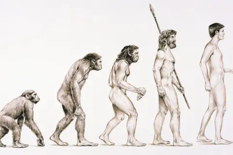 Die Darstellung der **Evolution des Menschen** zeigt eine Reihe von Figuren, die von einem affenähnlichen Wesen zu einem modernen Menschen fortschreiten.