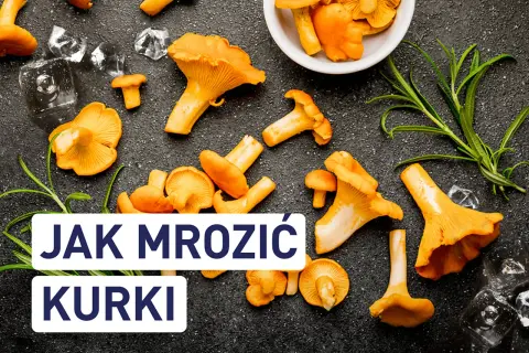Świeże kurki i lód na ciemnym tle. Tekst: "JAK MROZIĆ KURKI".