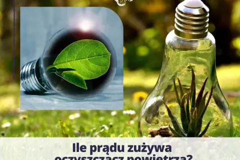 Ile prądu zużywa odświeżacz powietrza? Roczny koszt zaskakuje!