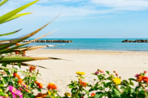 Spiaggia di Porto San Giorgio con fiori colorati in primo piano e il mare azzurro sullo sfondo. Sembra una padella gigante per la forma delle dighe frangiflutti.