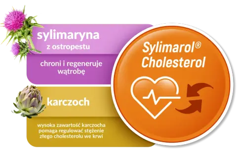 Sylimaryna z ostropestu i karczoch na tle grafiki z sercem i strzałkami, symbolizujące regulację cholesterolu.