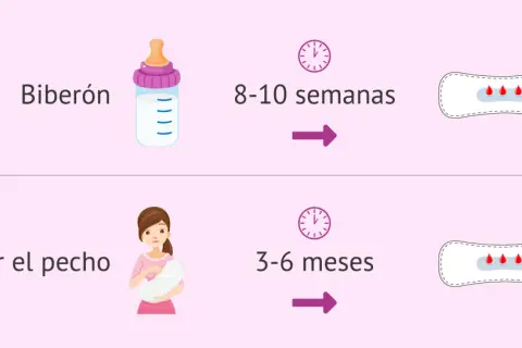 Biberón: 8-10 semanas. Dar el pecho: 3-6 meses. Así es cuando viene la regla después del parto.