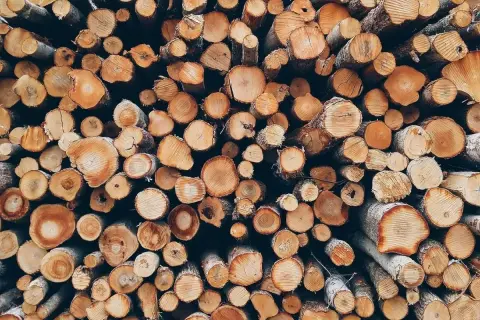 Stos ściętych pni drzew, każdy to osobny kubik drewna, tworzy gęstą, teksturalną mozaikę.