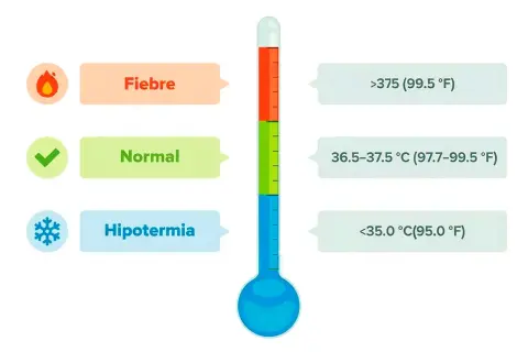 Termómetro muestra que cuanto es fiebre: >37.5°C. También indica temperatura normal y hipotermia.