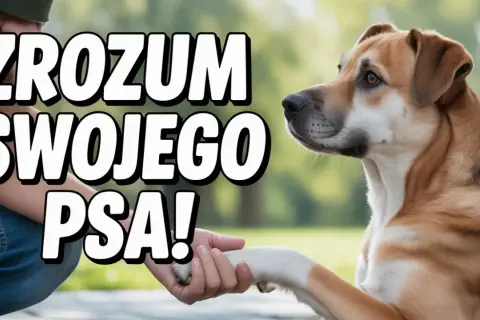Szkolenie dorosłego psa: Obal mity, buduj więź, rozwiąż problemy