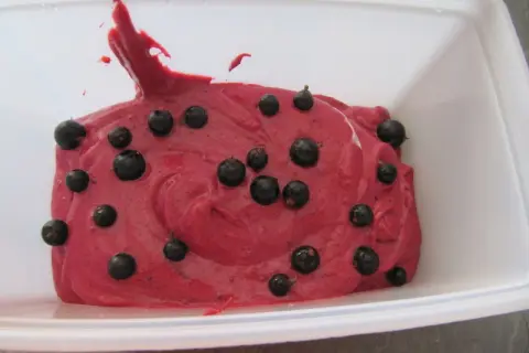 Sorbet cassis maison, une recette fruitée et rafraîchissante. La texture crémeuse est parsemée de baies noires pour un visuel gourmand.