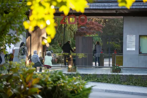 Wejście do największego zoo w Polsce. Ludzie wchodzą przez bramki, a nad nimi wisi napis "ZOO".