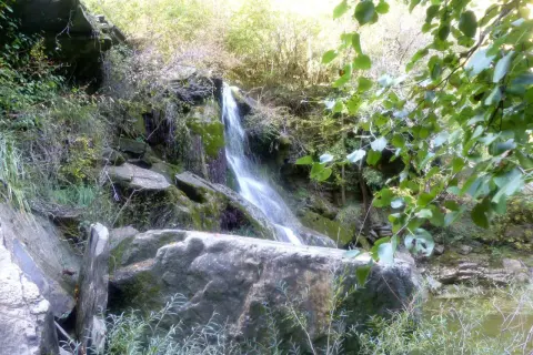 Cascata nella riserva naturale di Monterufoli-Caselli, con rocce muschiose e vegetazione lussureggiante.