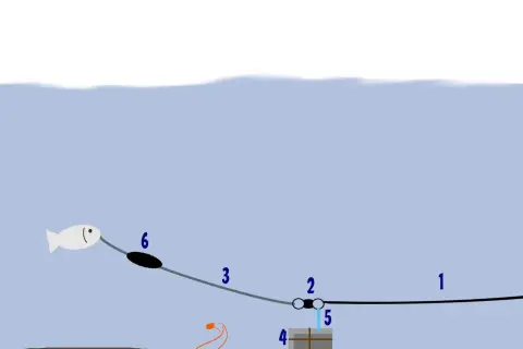 Schema einer u posen montage: Köderfisch (6) schwimmt, während ein Wurm (4) am Grund wartet.