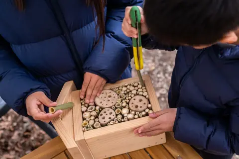 Dzieci budują domek dla owadów z bambusa i drewna. Pokazują, z czego zrobić domek dla owadów, wypełniając go naturalnymi materiałami.