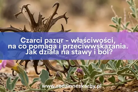 Dzikie pnącza i kwiaty otaczają zasuszone gałązki, przypominające czarci pazur. Tekst informuje o jego właściwościach i działaniu na stawy.