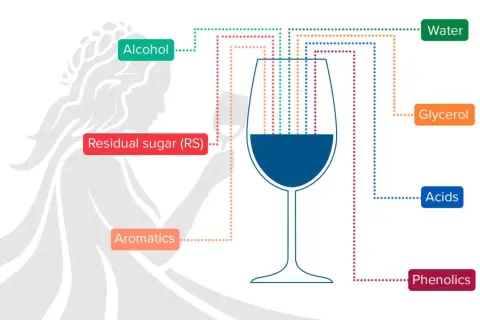 Schema che illustra i componenti del vino: alcol, zuccheri residui, aromatici, acqua, glicerina, acidi e fenoli, con la glicerina che contribuisce alla consistenza.