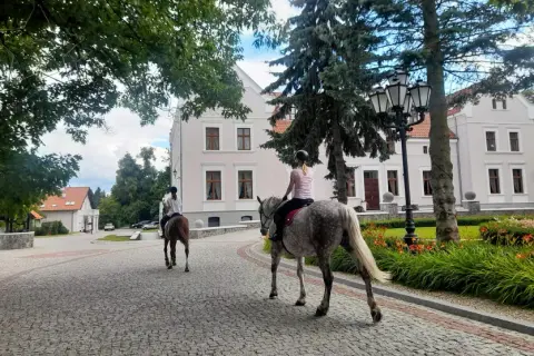 Najlepsze stadniny koni w Wołominie - sprawdź oferty i opinie