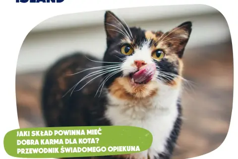 Dobra karma dla psa i kota: Jak rozpoznać prawdziwe premium?