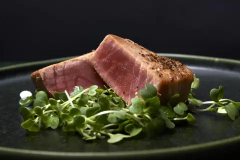 Två bitar grillad tonfisk med peppar ligger på en bädd av gröna skott på en mörk tallrik.