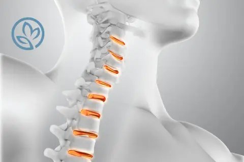 Dettaglio della curvatura cervicale con vertebre evidenziate in arancione.