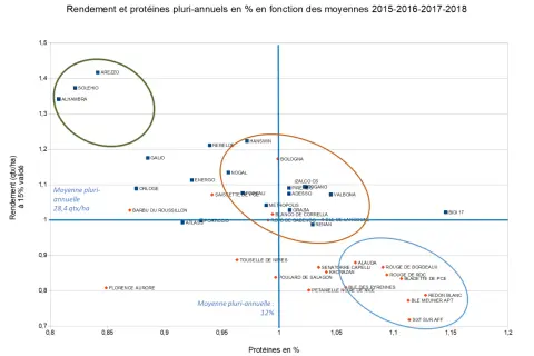 Graphique montrant le rendement et les protéines de blé dur variété. Des points représentent différentes variétés avec leur rendement en qtx/ha et leur teneur en protéines.