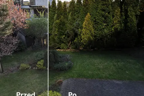 Ogród przed i po: jak odgrodzić się od sąsiada? Zdjęcia pokazują metamorfozę – od widoku na budowę do zielonej, prywatnej oazy dzięki gęstym drzewom.